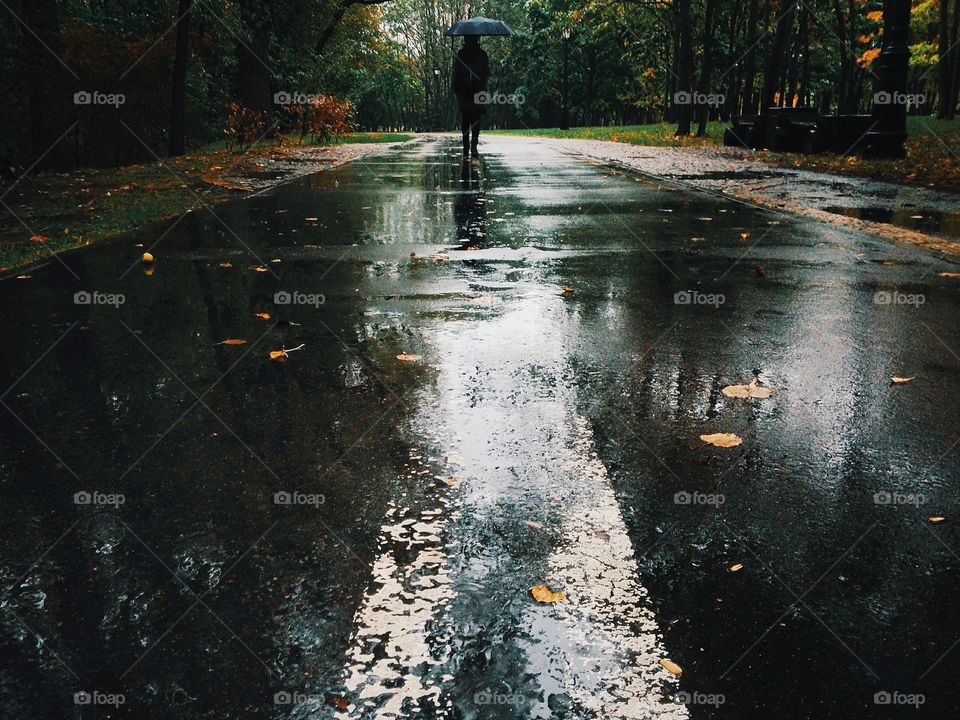 View of road in rainy day