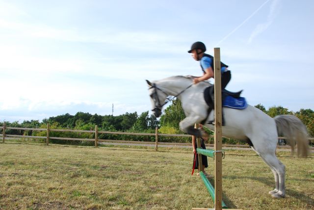 Male horse rider jumping over hurdle