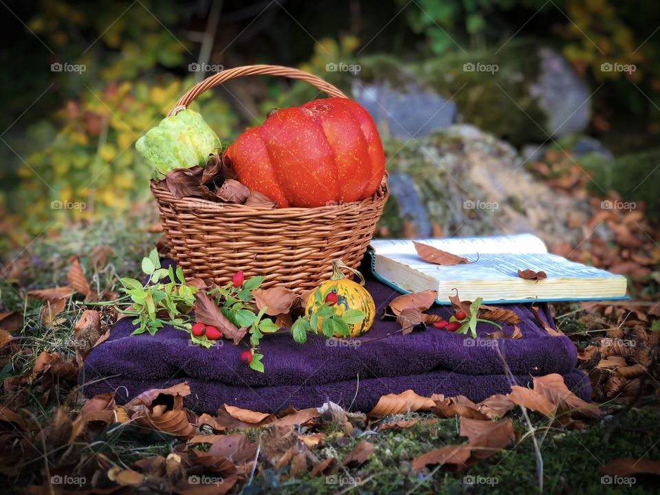 Autumn still life