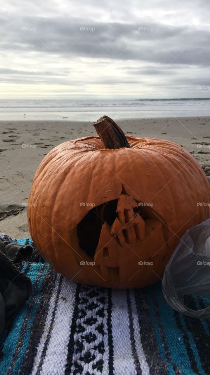Beautiful Pumpkin on Morro Bay Beach California 