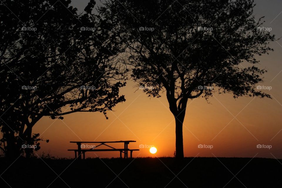 Sun below the bench