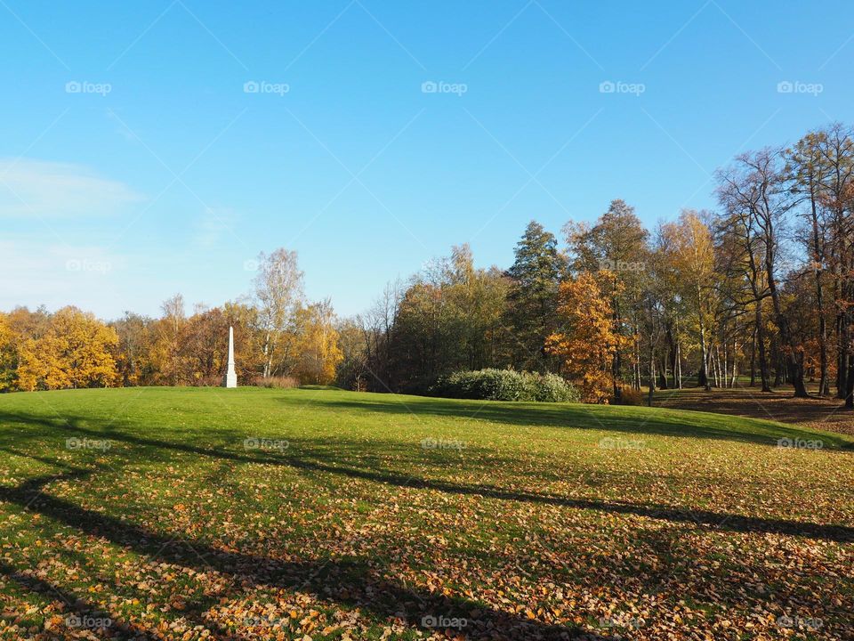 Fall. Sunny day. Park