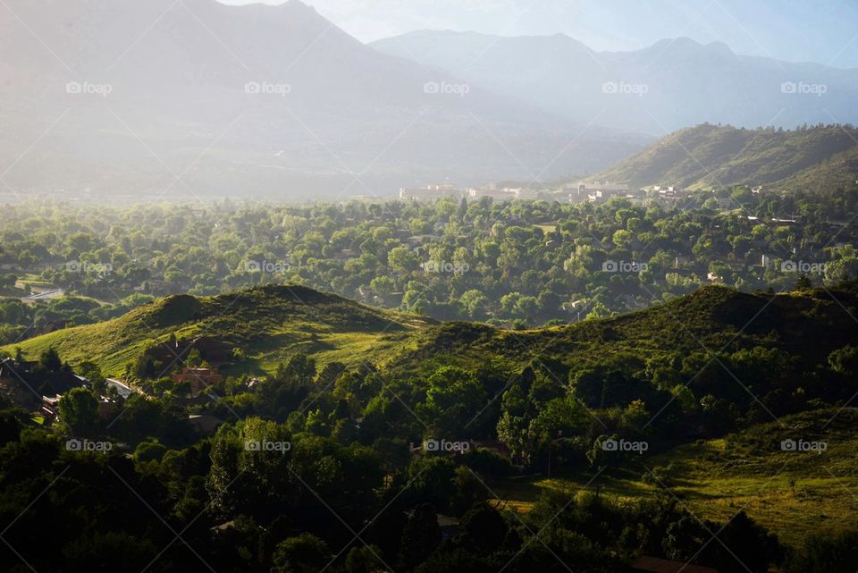 High angle view of nature