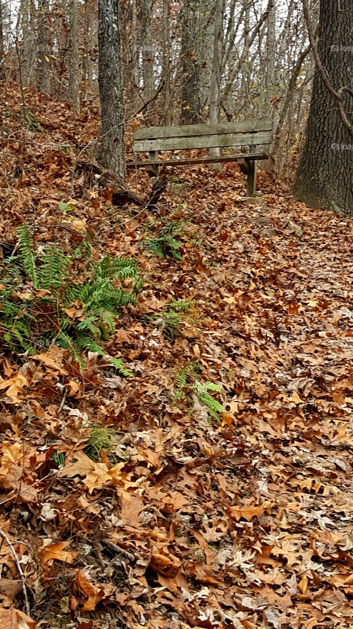 Sometimes it's nice to be able just to sit awhile and take it all in!! Nature is