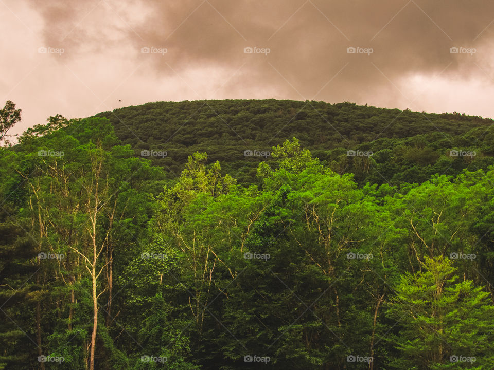 Esopus Creek, New York, sun, sky, clouds, mountains, river, nature summer, top of the mountain , Landscape, view, panoramic view, forest, woods, pond, lake, river, 