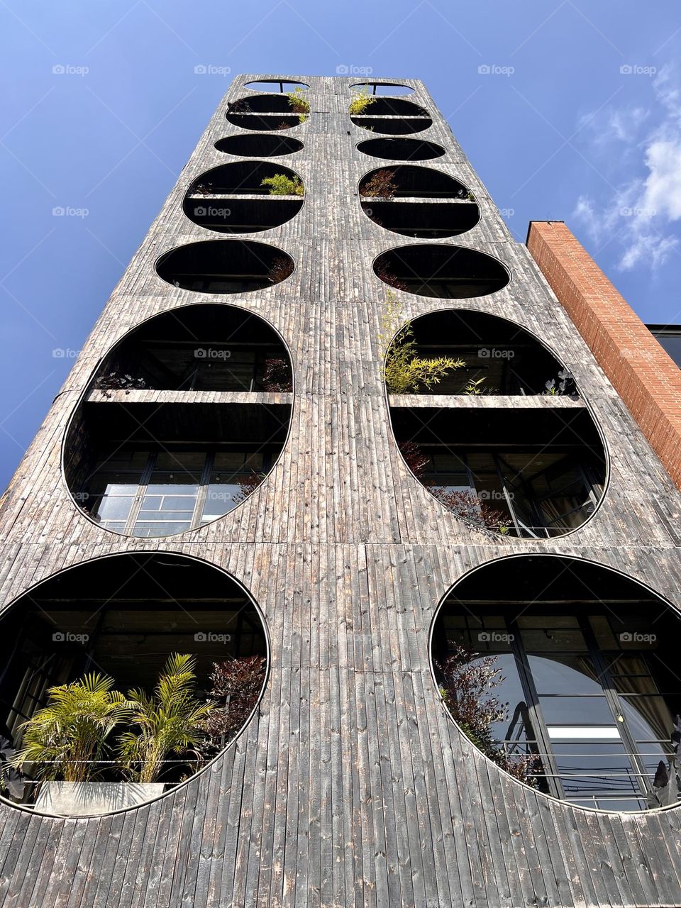 Geometry circle architecture palace 