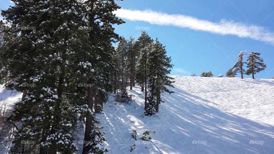snowboarding lines near trees. taken from a ski lift at Mt High resort in Wrightwood, ca 