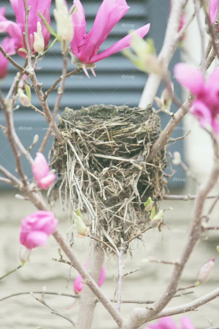 Nesting 