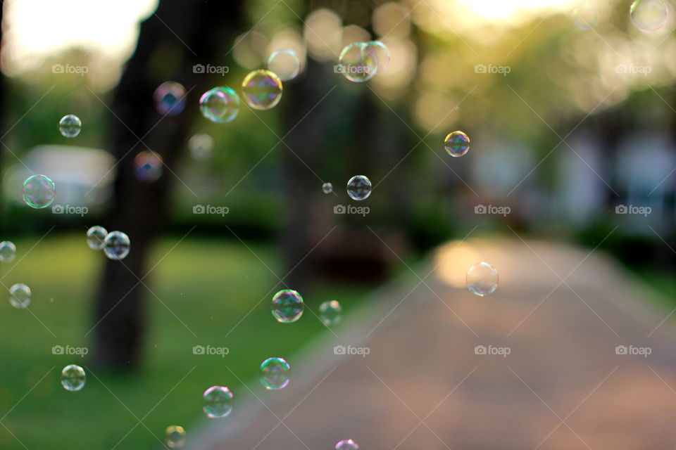 Bubble in the park 