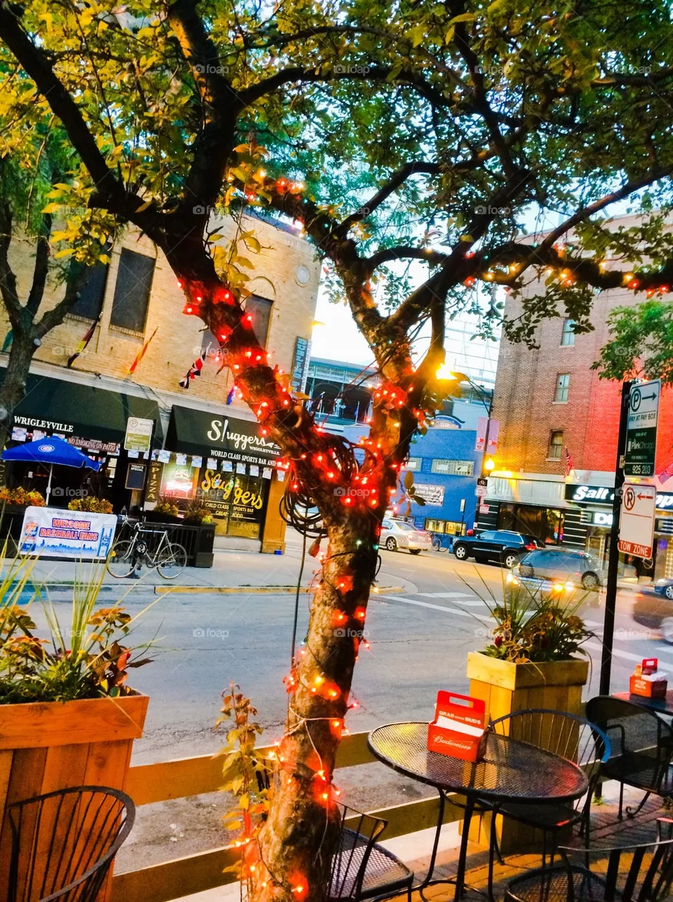 Light tree