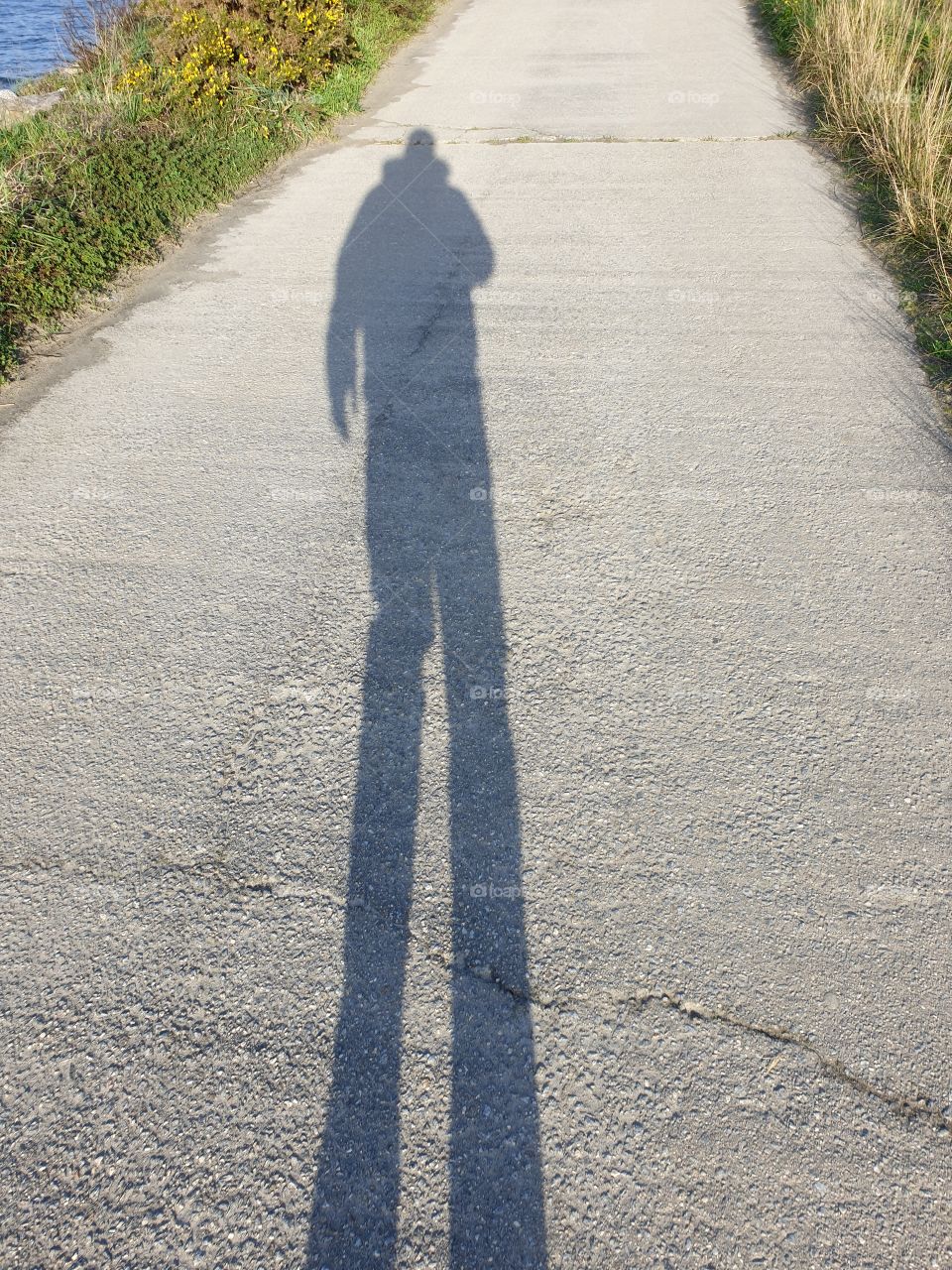 Man's shadow on a side road near the beach