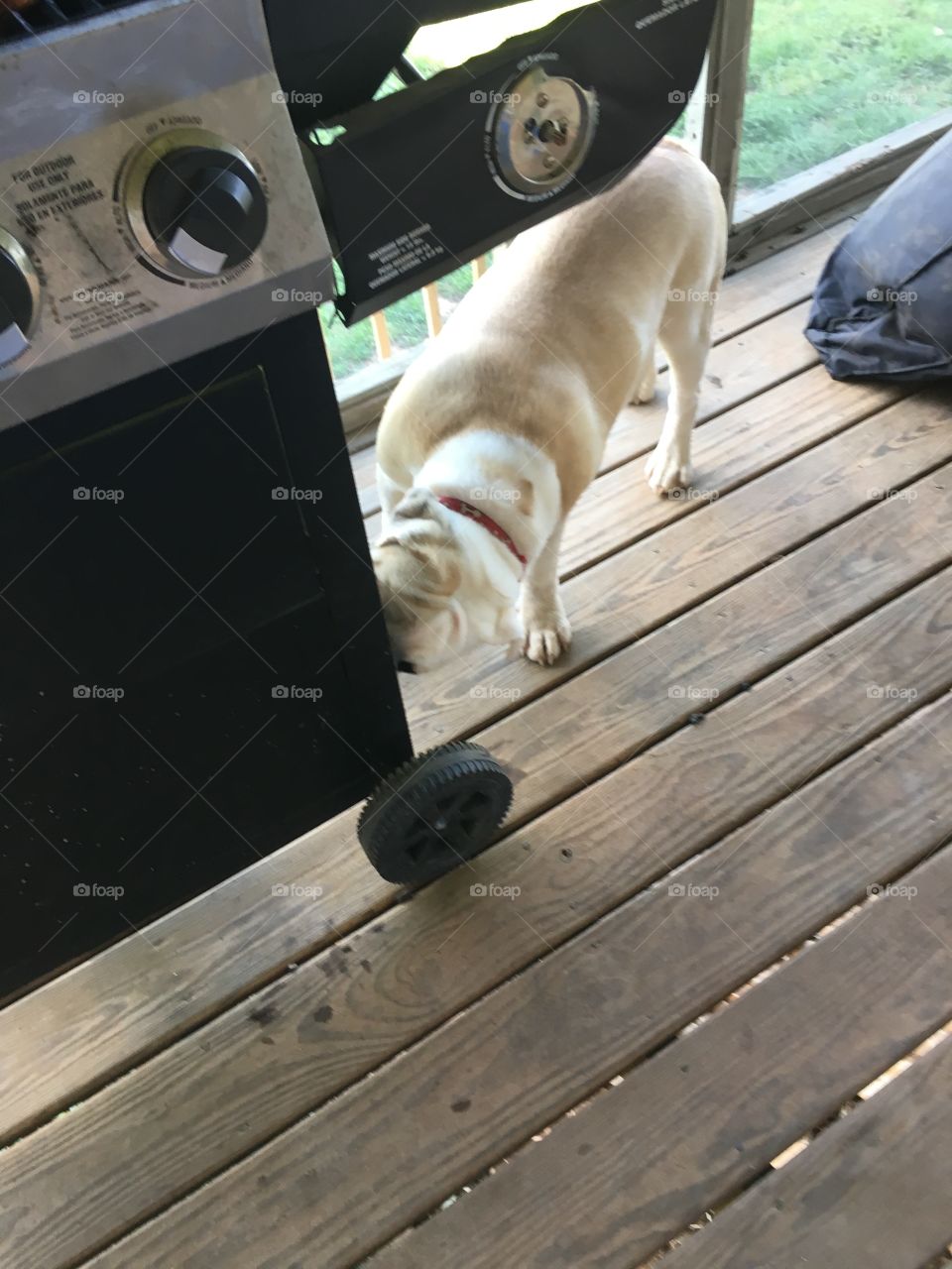 Let me help you, I lick up this barbecue! Haha