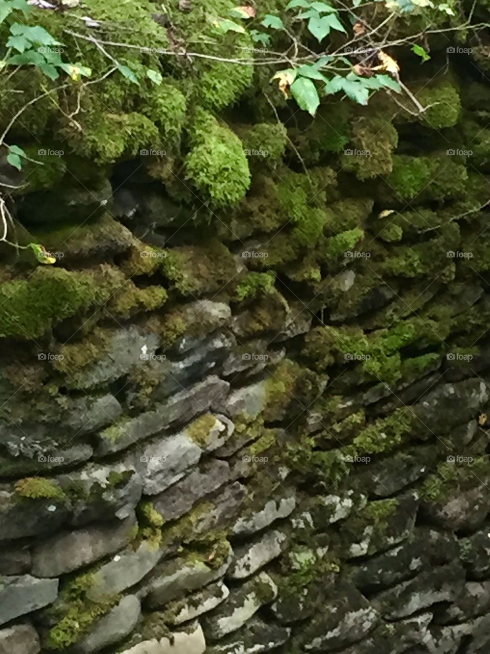 Mossy Rock Wall