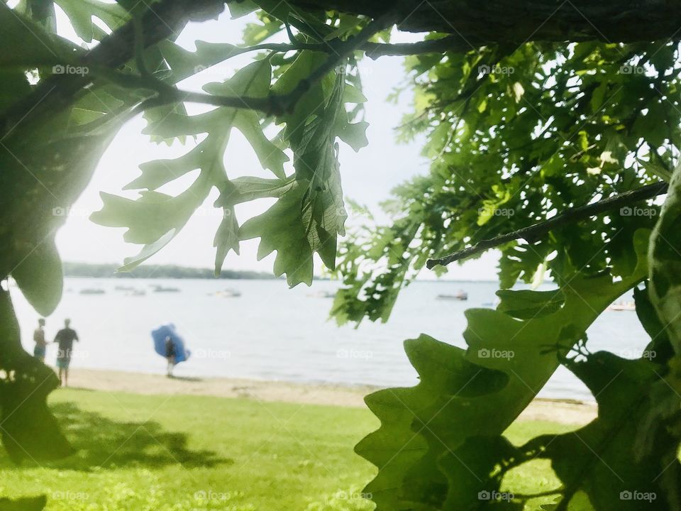 Gorgeous photo of leaves in forefront and boaters and swimmers in background on sunny afternoon summer day!!