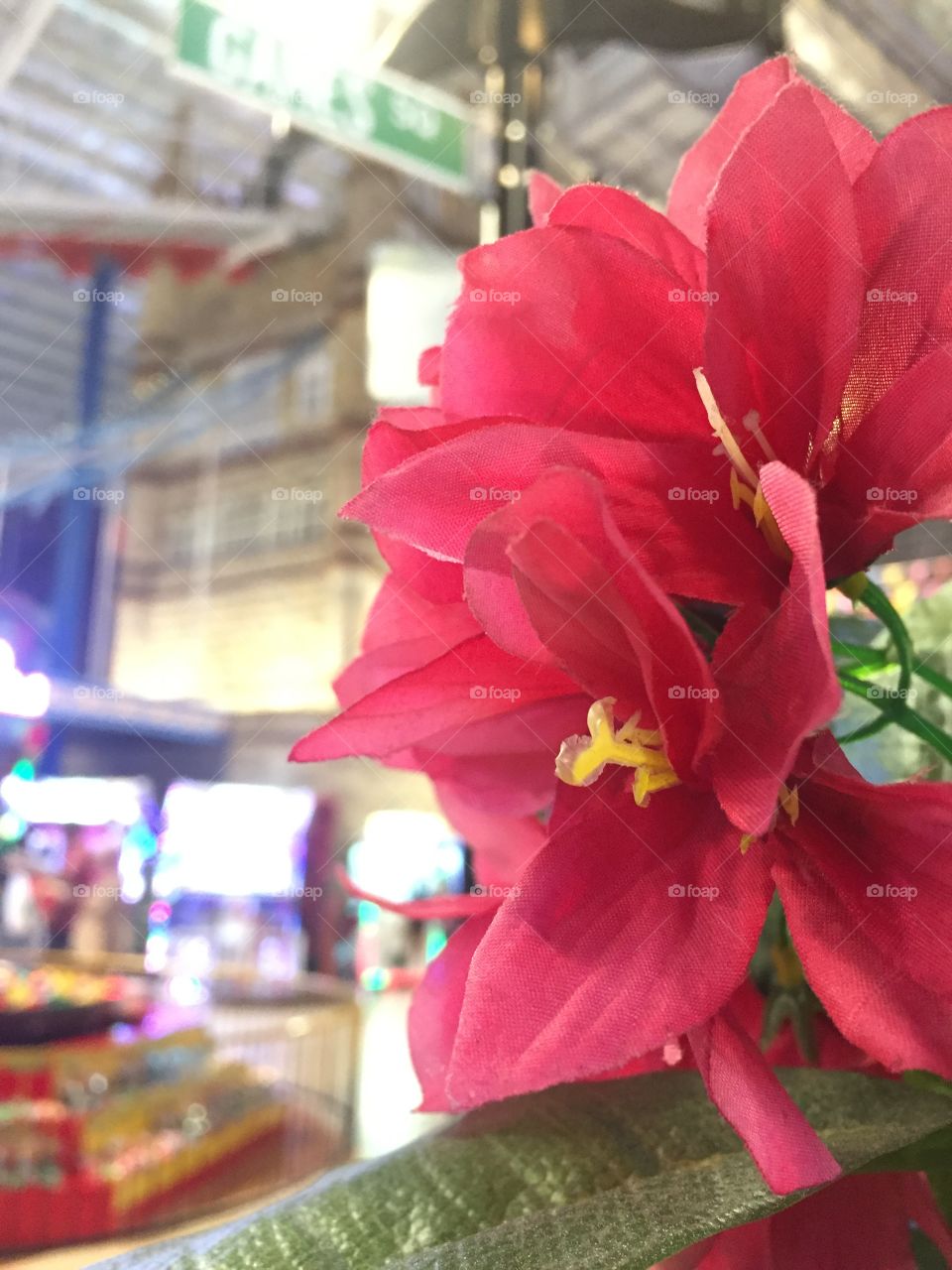 This flower but this fake flower