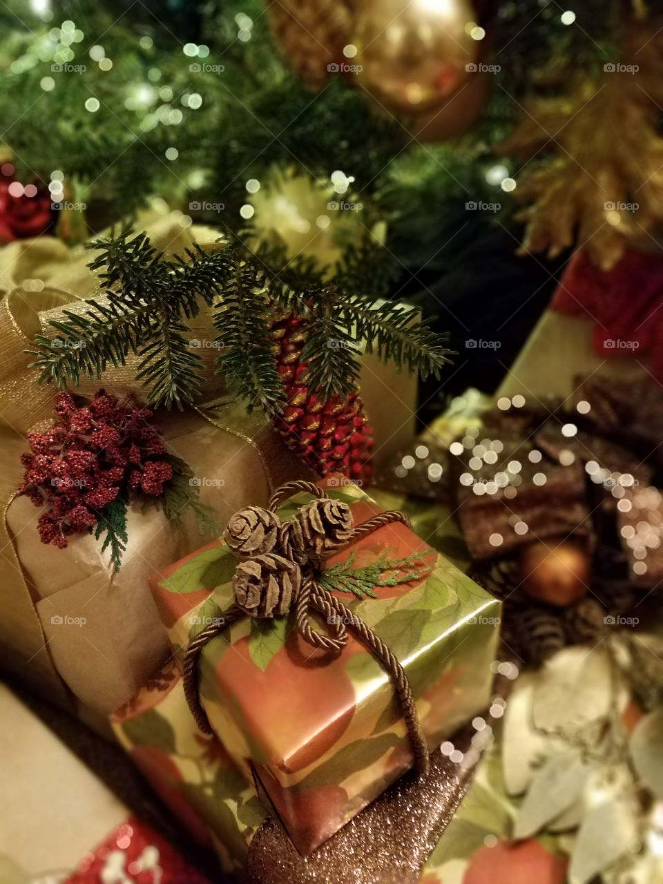 Wrapped gift underneath a Christmas tree