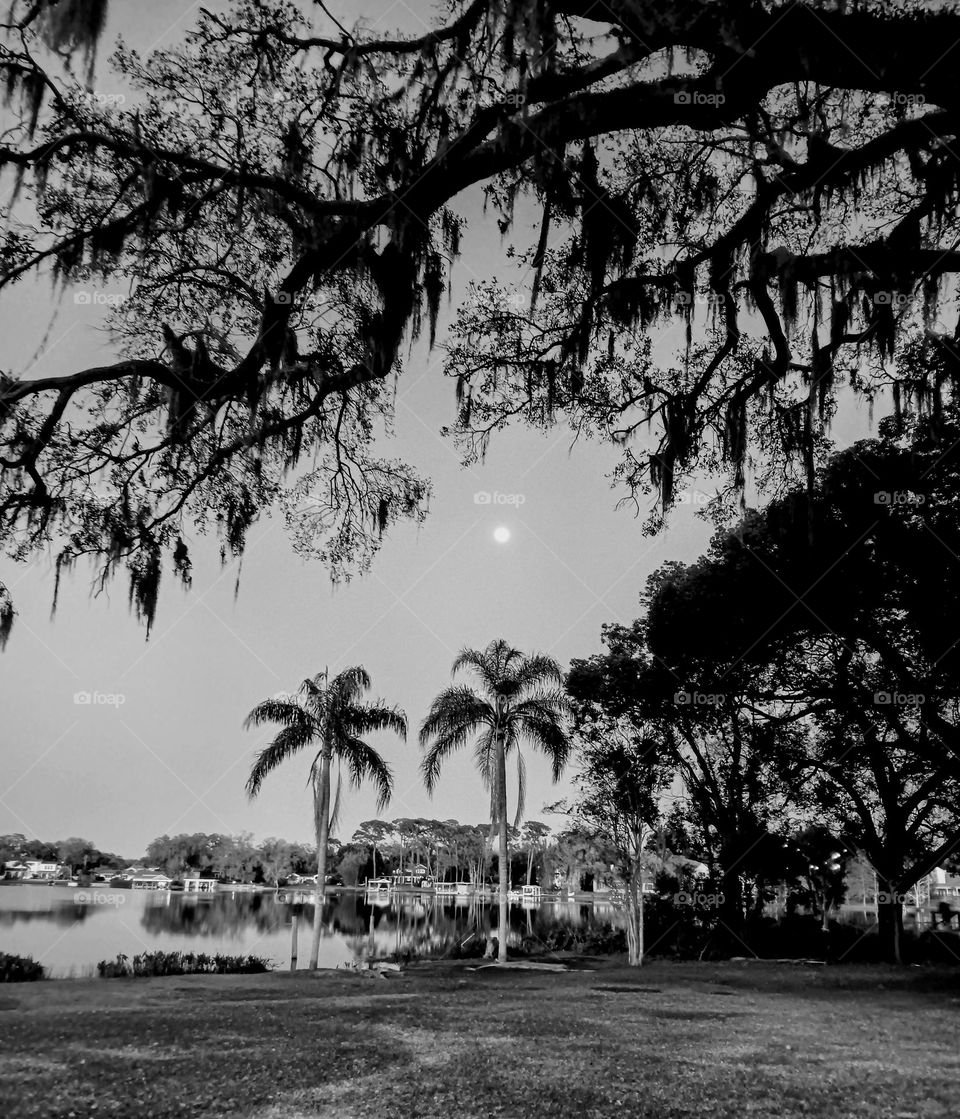 peaceful lakefront