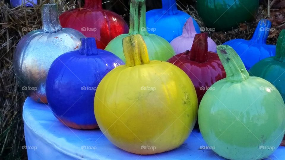 painted pumpkins