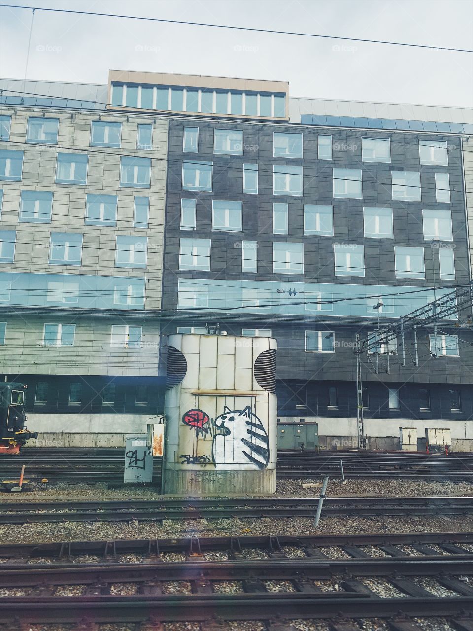 grafitti cat stockholm