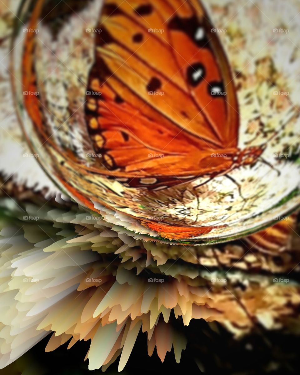 butterfly in a bubble burst