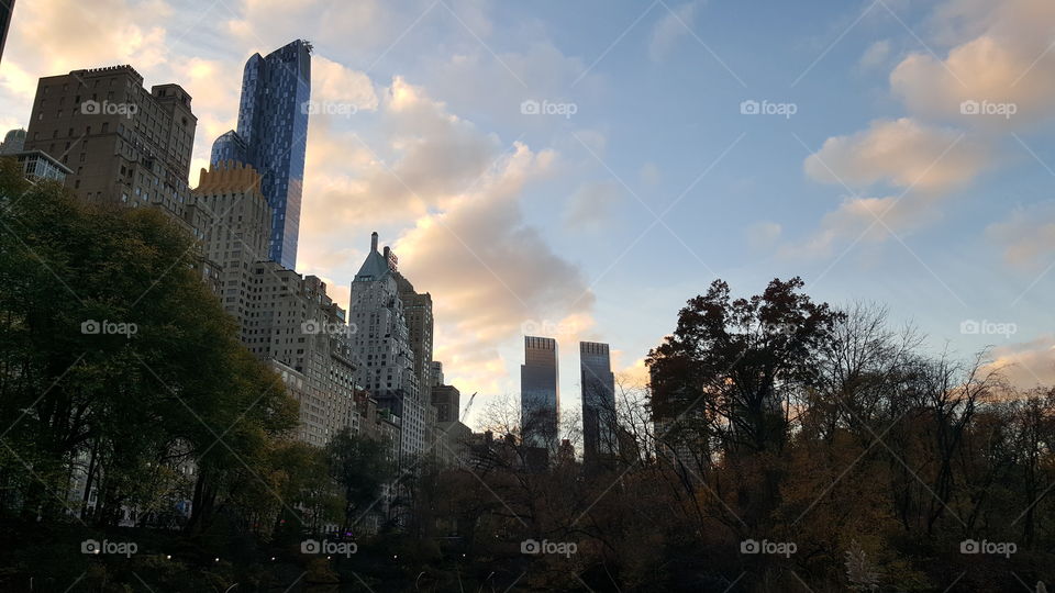 Autumn in New York City.🍁🍂🍁🍂🍁🍂🍁