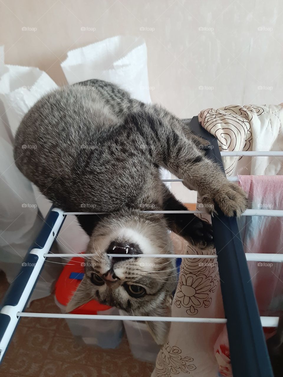 Укусить  хочу!