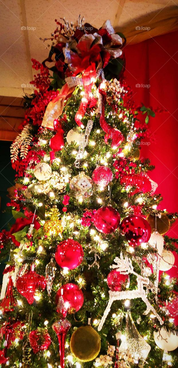 Christmas  Tradition