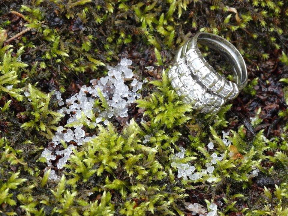 Silver ring in the moss