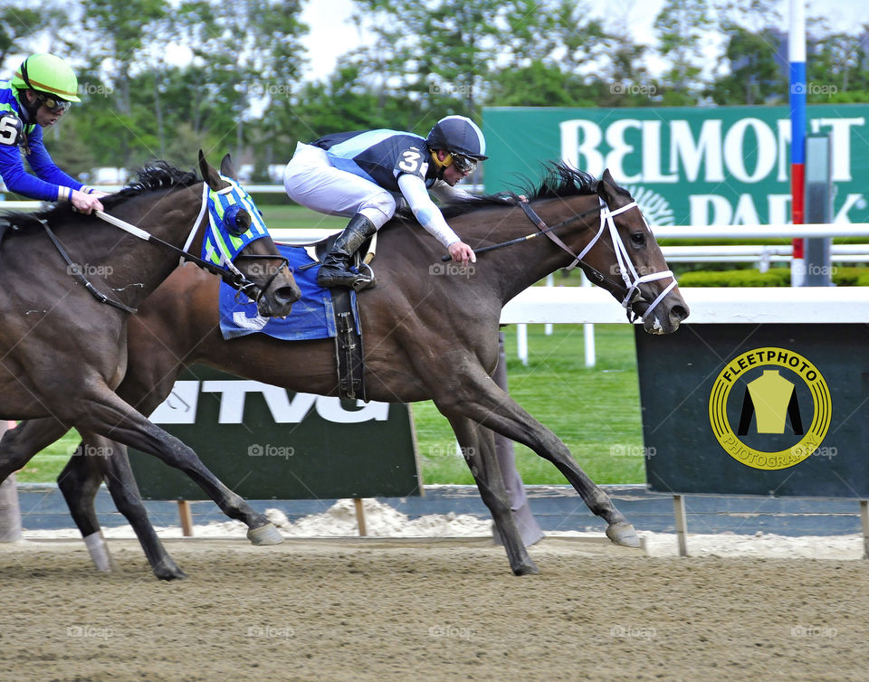 Empress Jingu

zazzle.com/Fleetphoto
Horse Racing Photography and Gifts