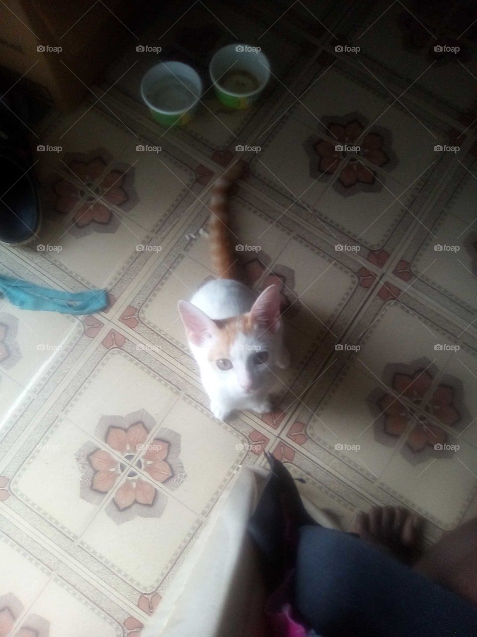 thanks again for all the beautiful picture you take of me and I am so happy to have you.