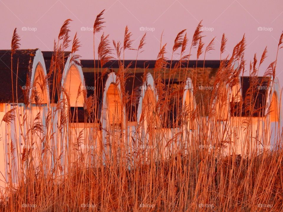 Beachhuts in Winter light