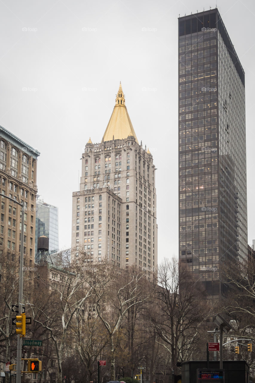 City environment of New York City