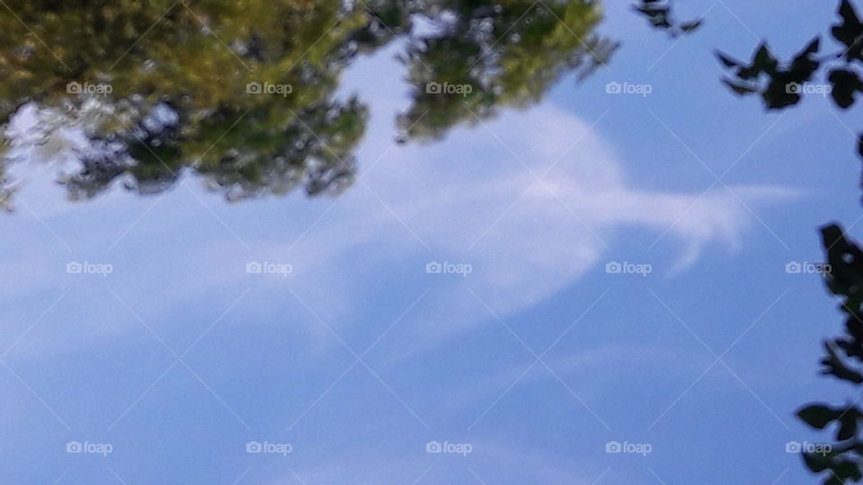 bird like picture in sky