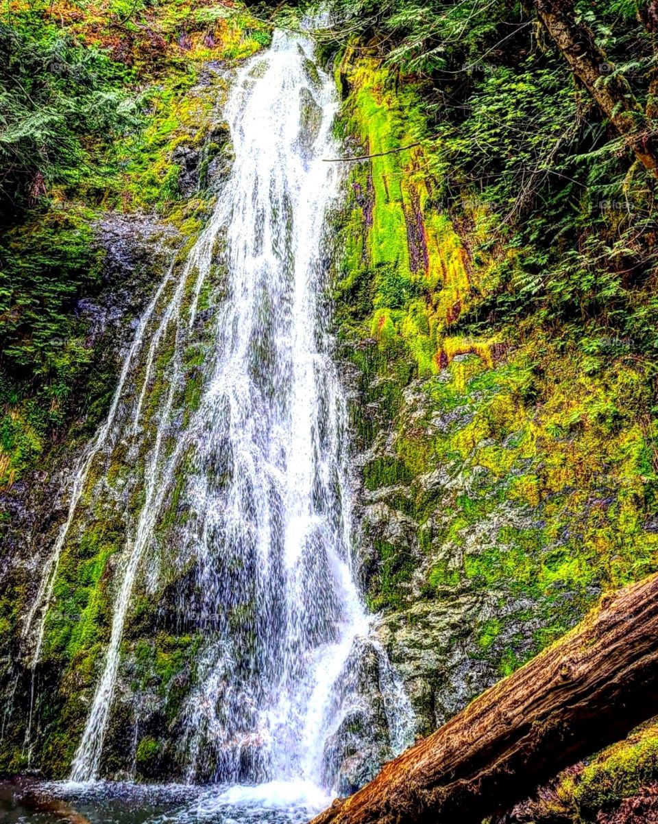 Madison Falls in the Olympic National Forrest has been a dream to have to wait and see