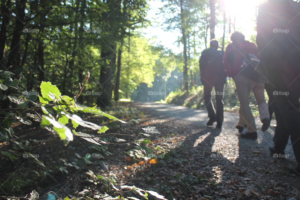 People in the wood. Trip. Trevel