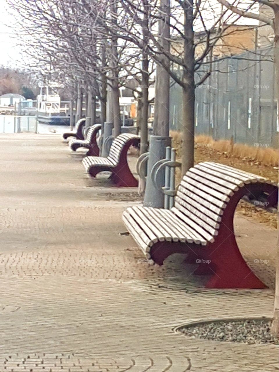 waterfront benches in march