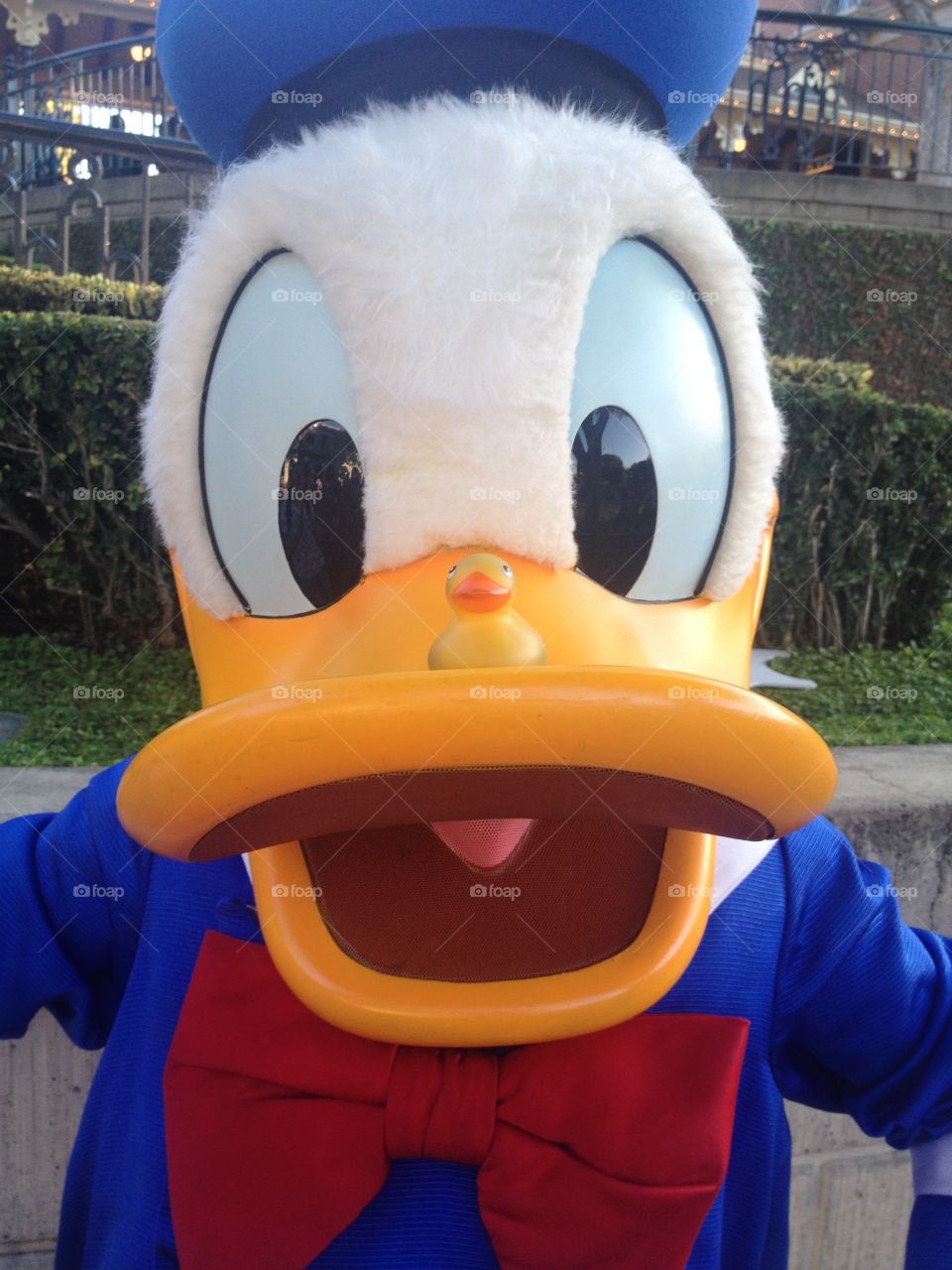 Donald Duck and friend