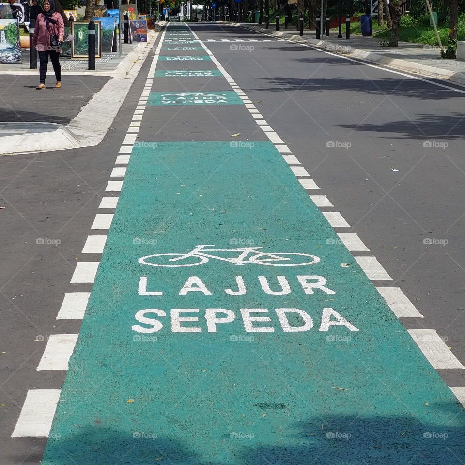 bicycle path on an empty road with trees on the side