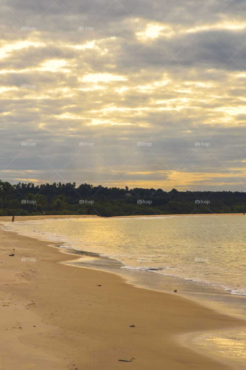 red crown beach Bahia Brazil