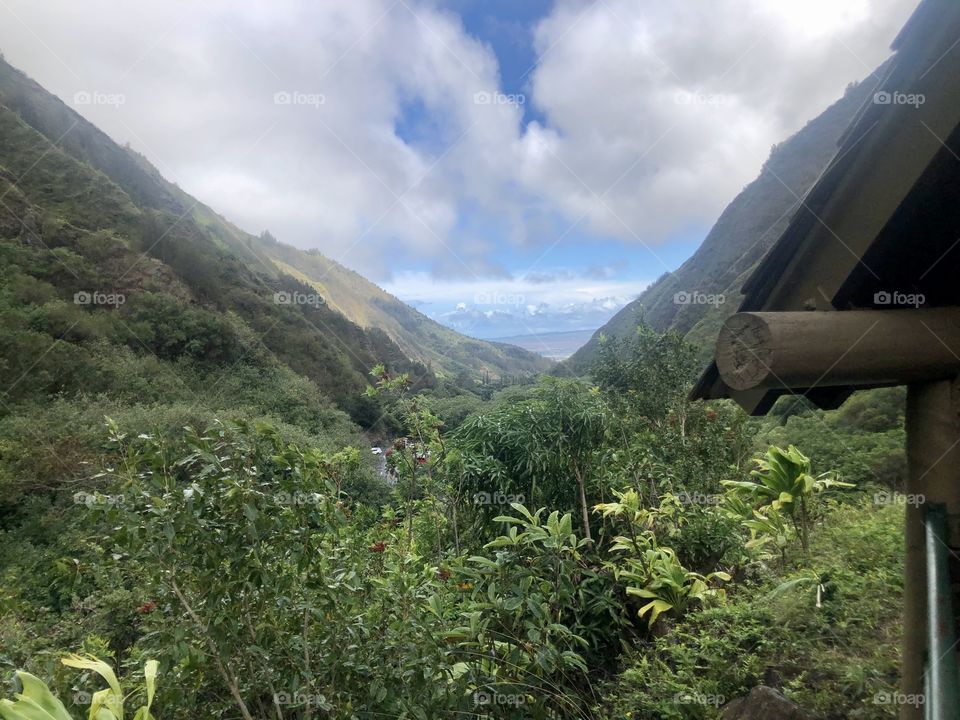 Maui Iao Valley