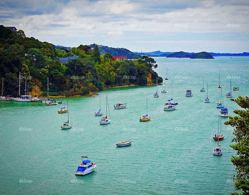 A Day for Boating in the Bay. Many boats in Opua, Bay of Islands