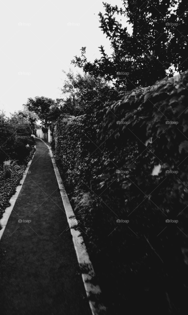 walking path to the pawn down by the golf course the world in black and white