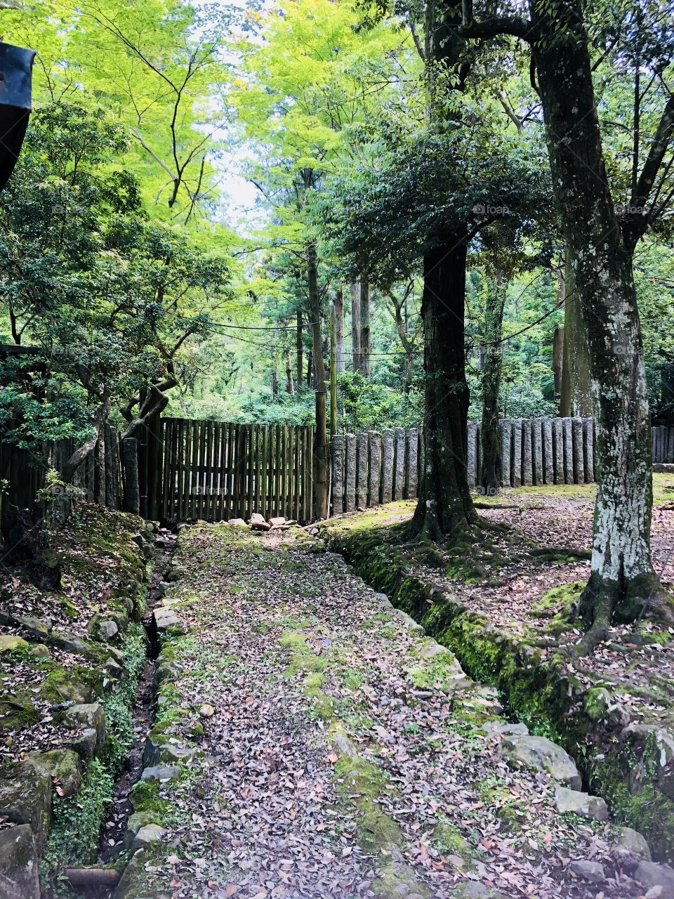 forest gates in the park Nara Japan 