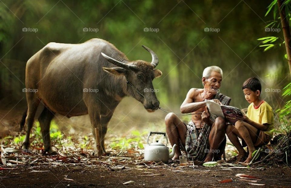 reading book with grandfather