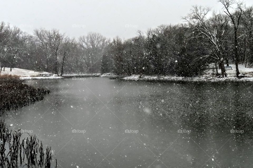 First snow of the season. Cold snowy pond scene. "Jack Frost Has Arrived".