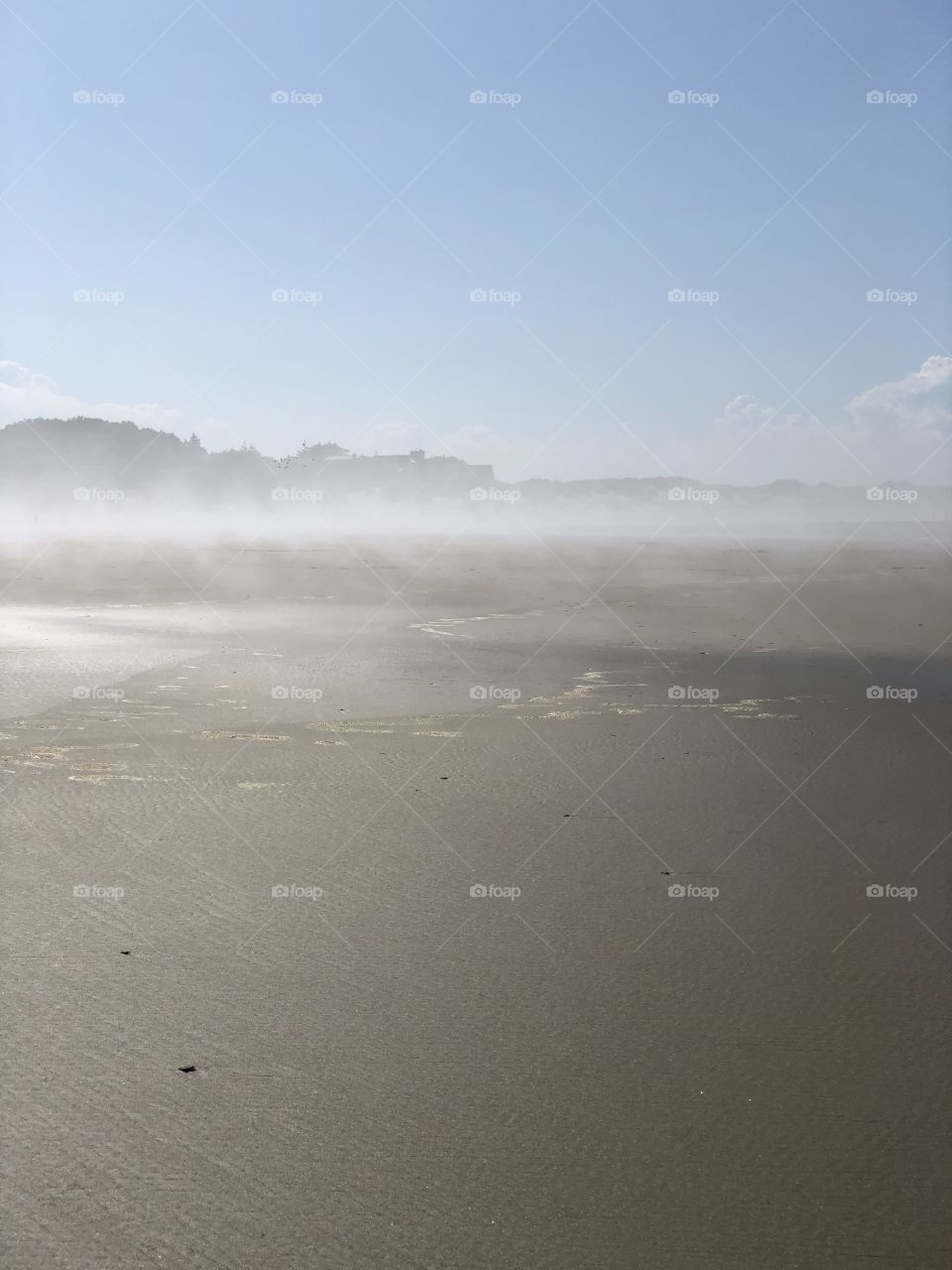 Fog on the Beach