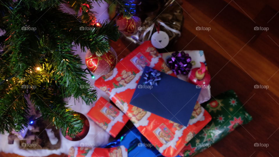 christmas tree, christmas time