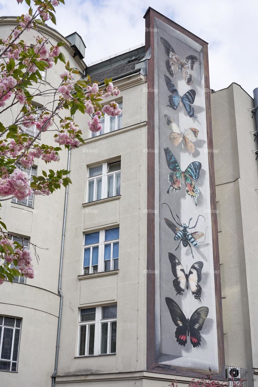 Street art. Vienna