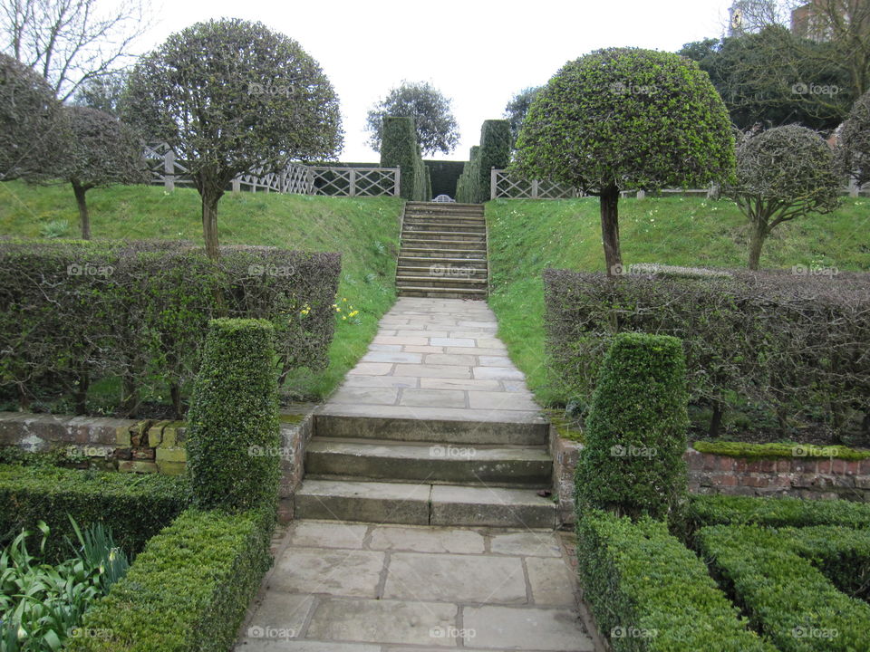 Garden, Topiary, Hedge, No Person, Guidance