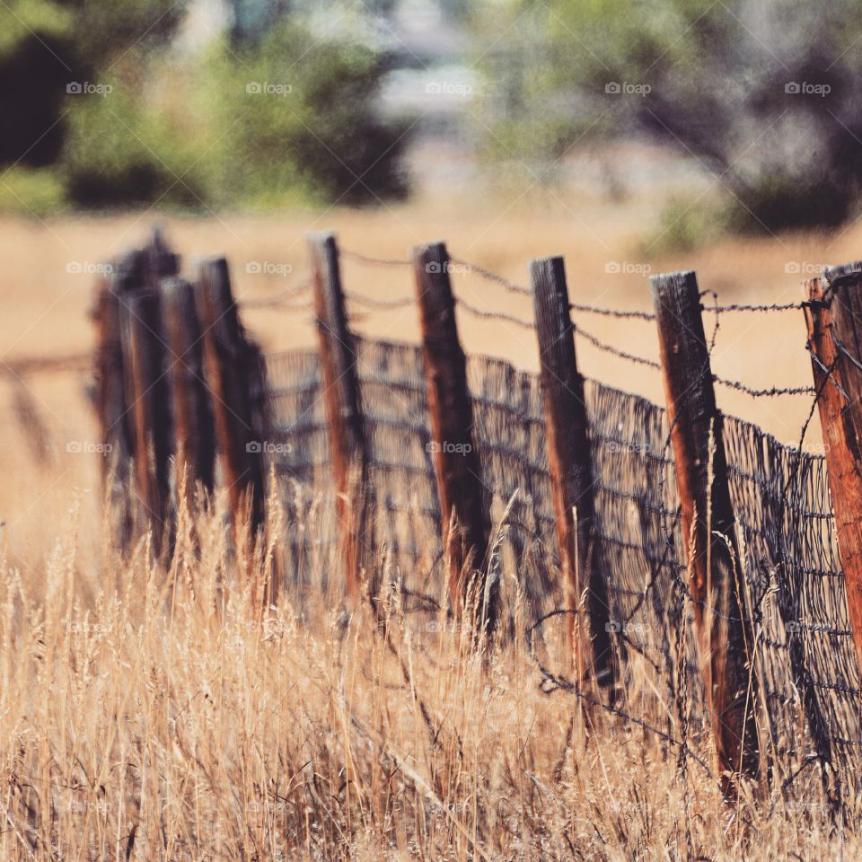 Fence on prairie 